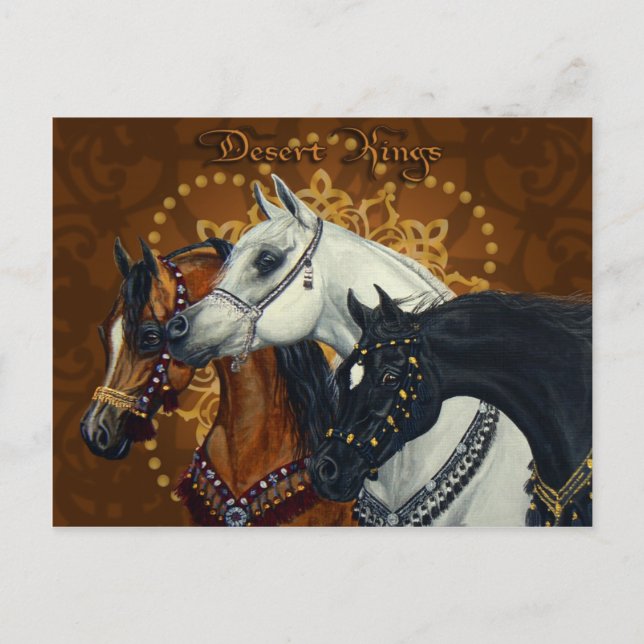 Desert Kings Arabian horses postcard (Front)