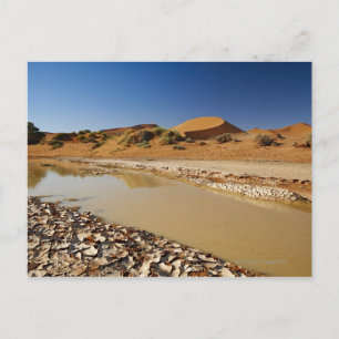 desert Landscape of Namib at Sossusvlei filled Postcard