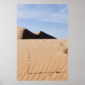 Desert landscape poster