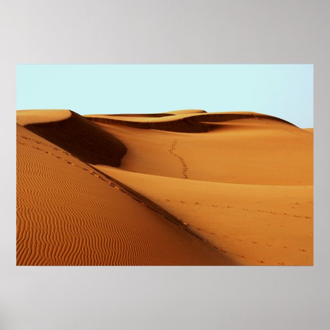 Desert Landscape Poster (Front)