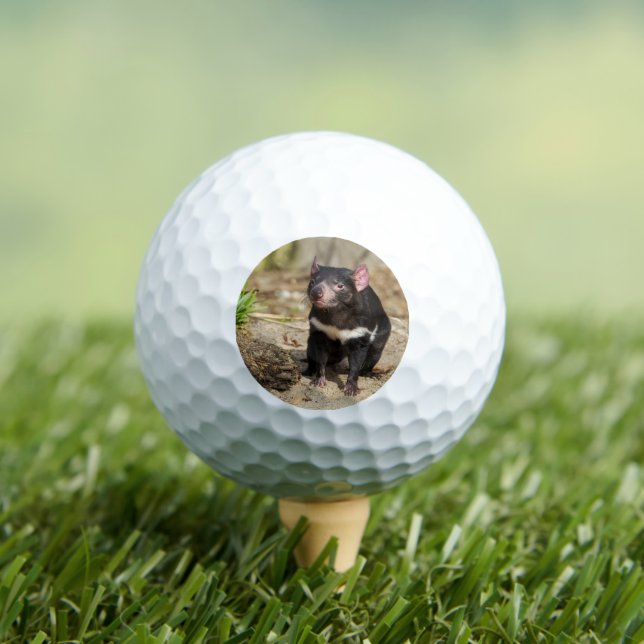 Desert Light – Tasmanian Devil Golf Balls (Insitu Tee)