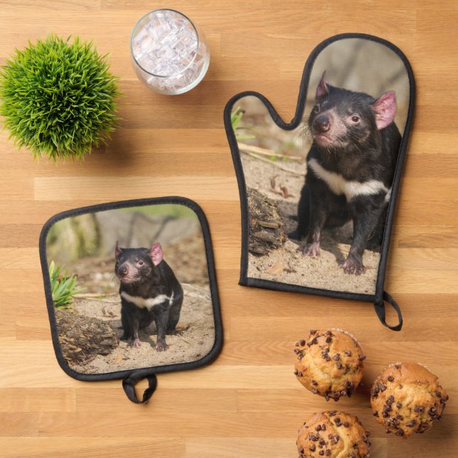 Desert Light – Tasmanian Devil Oven Mitt & Pot Holder Set (Top Down)