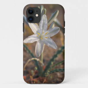 Desert Lily Wildflowers iPhone 11 Case