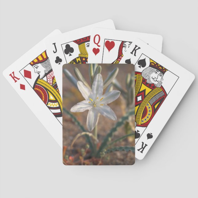 Desert Lily Wildflowers Playing Cards (Back)