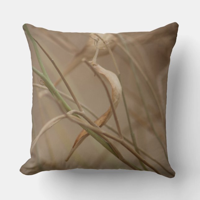 Desert Milkweed Pods Cushion (Front)