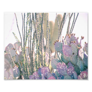 Desert Morning Photo Print