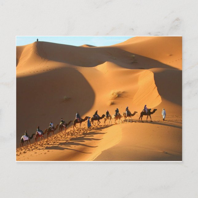 desert-morocco-sahara postcard (Front)