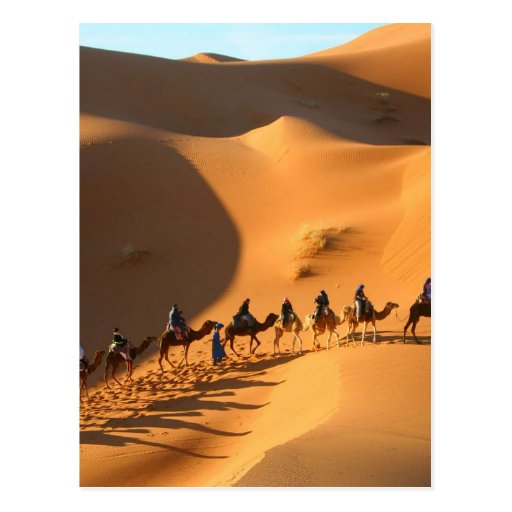 Image of desert-morocco-sahara Postcard