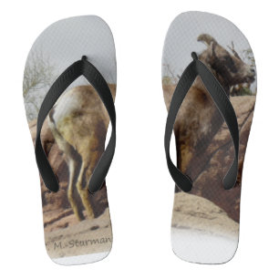 Desert Mountain Goat Flip Flops