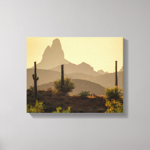 Desert Mountain Weaver's Needle Arizona USA 1411 Canvas Print