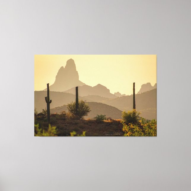 Desert Mountain Weaver's Needle Arizona USA 60x40 Canvas Print (Front)