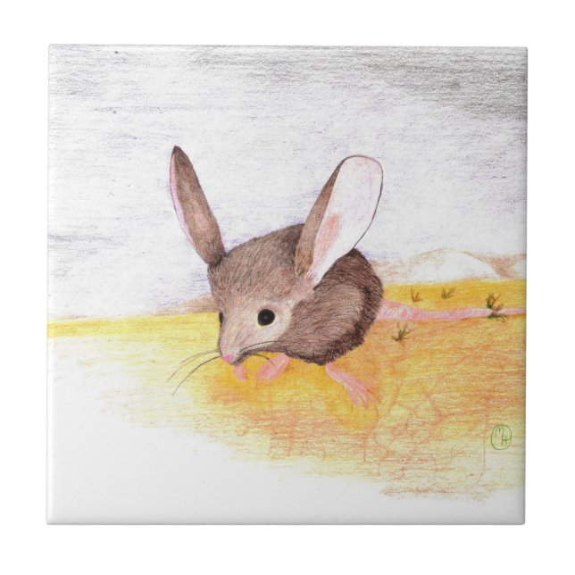 Desert Mouse Tile (Front)