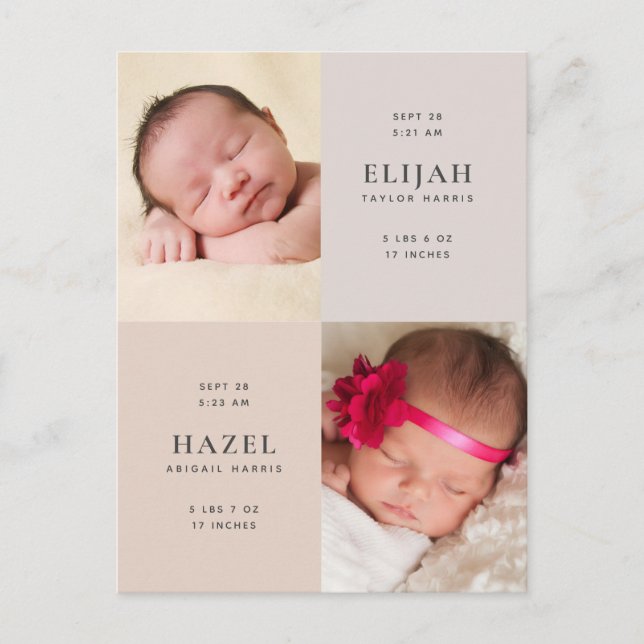 Desert Neutrals Twins Photo Birth Announcement Postcard (Front)