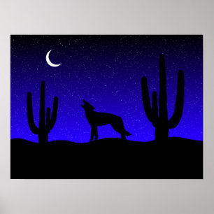 Desert Night Poster