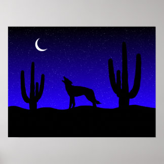 Desert Night Poster