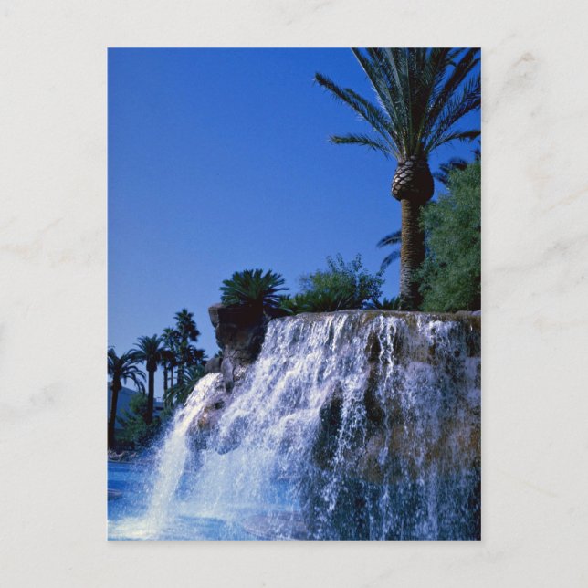 Desert oasis postcard (Front)