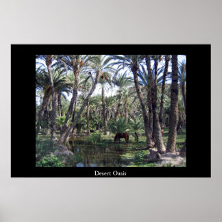 Desert Oasis Poster