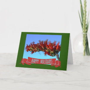 Desert Ocotillo Bloom Holiday Card