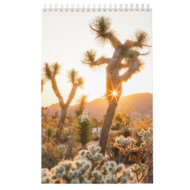 Desert Photo Gift with Cactus  Calendar (Cover)