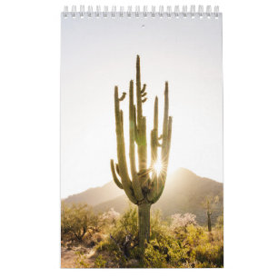Desert Photo Gift with Cactus Calendar