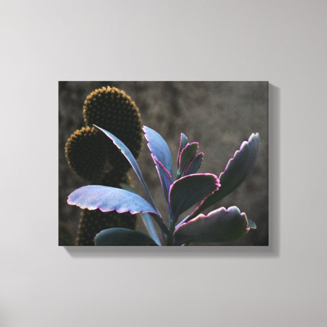 Desert Plants Canvas Print (Front)