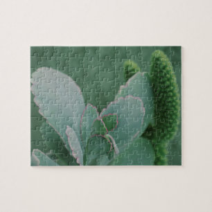 Desert Plants Jigsaw Puzzle