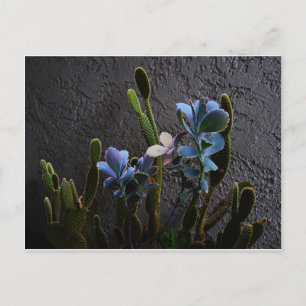 Desert Plants Postcard