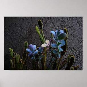 Desert Plants Poster