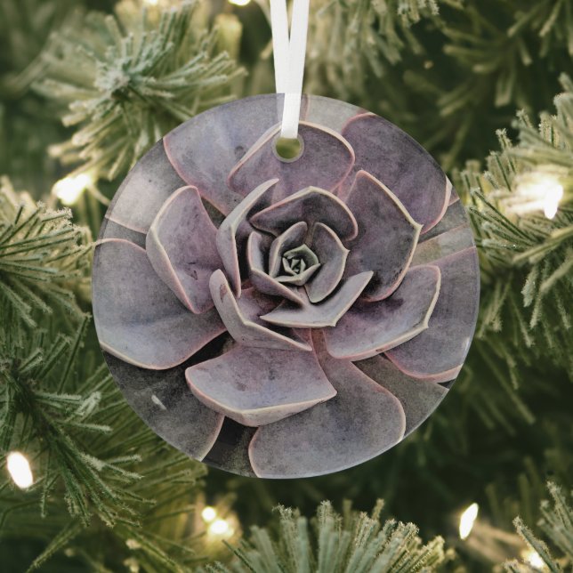 "DESERT PLANTS/SOUTHWEST THEME/SUCCULENT PLANTS GLASS TREE DECORATION (Insitu)