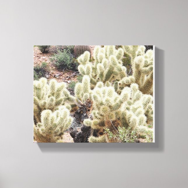 Desert Radiance Cholla Cactus Photo Canvas Print (Front)