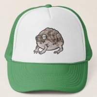 Desert Rain Frog