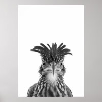 Desert Road Runner Bird Portrait 