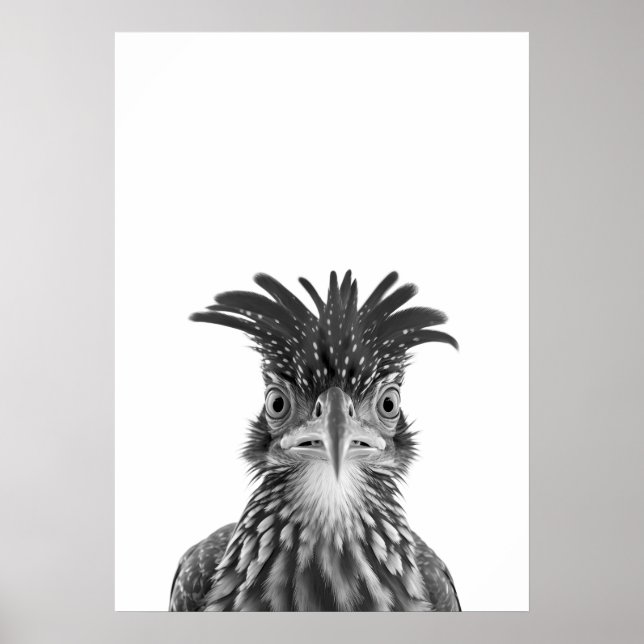 Desert Road Runner Bird Portrait  Poster (Front)
