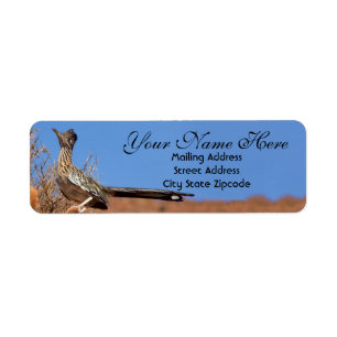 Desert Roadrunner Address