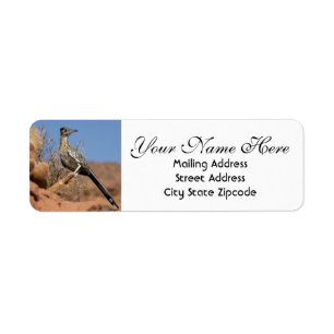 Desert Roadrunner Return Address