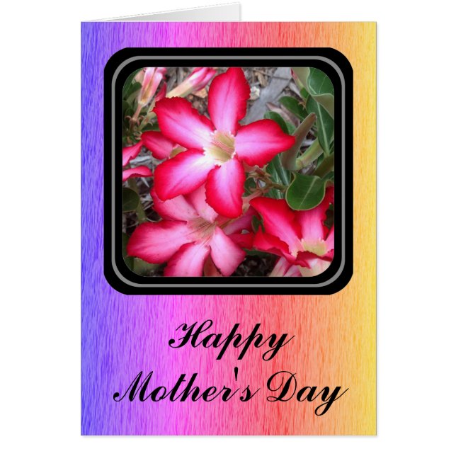 Desert Rose blank Mother's Day card (Front)