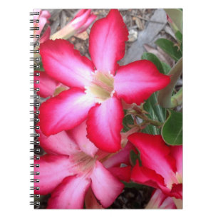 Desert Rose notebook