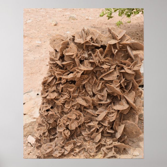 Desert Rose. Tunisia. Poster (Front)