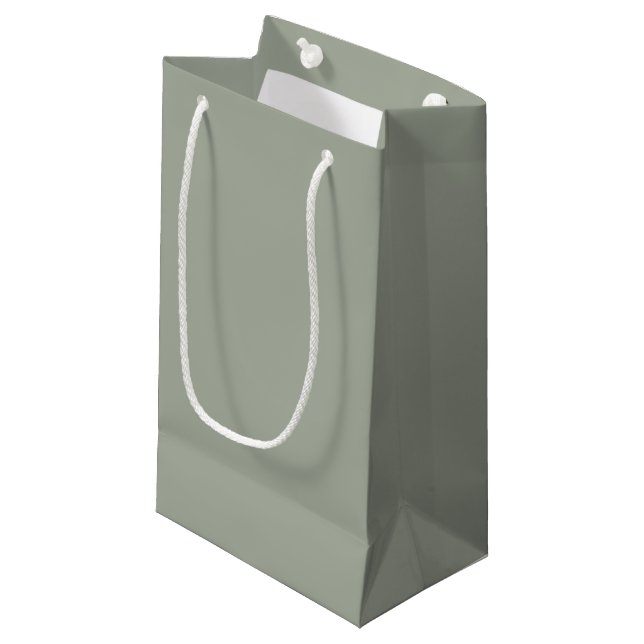 Desert Sage Solid Colour Small Gift Bag (Front Angled)