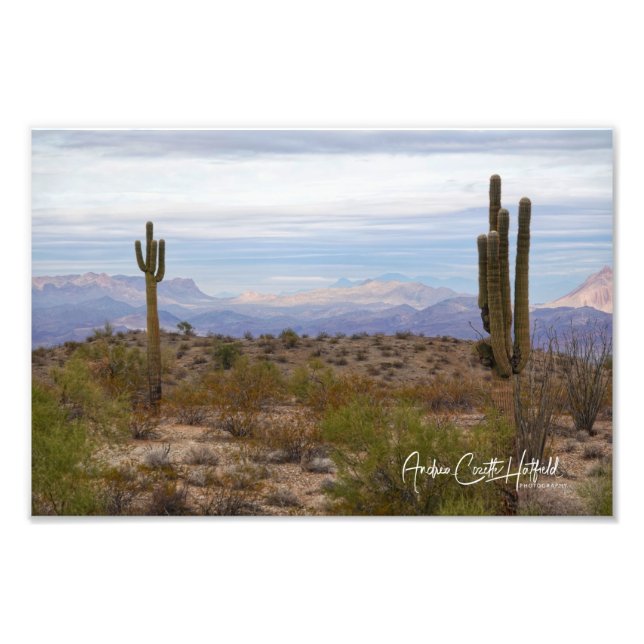 Desert Saguaro Photo Print (Front)