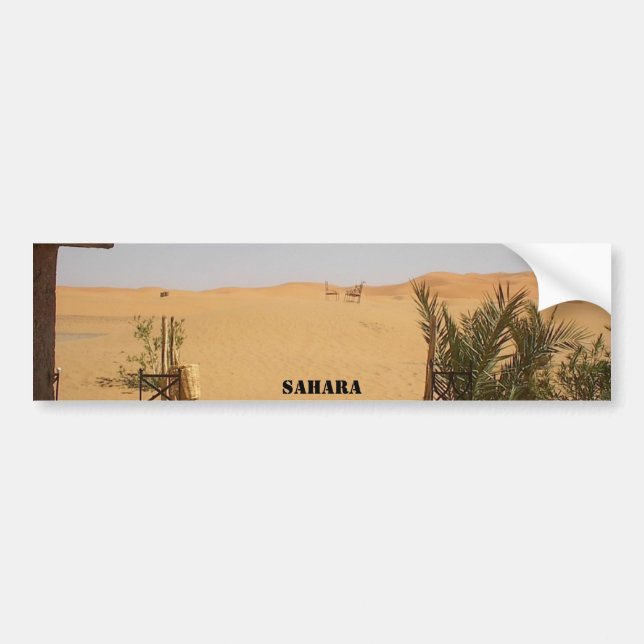 desert, Sahara Bumper Sticker (Front)