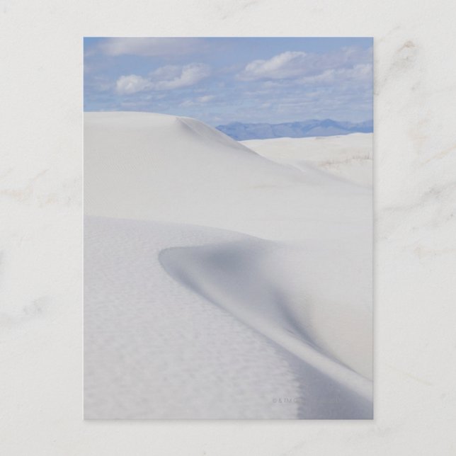 Desert Sand Dunes Postcard (Front)