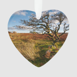 Desert Savannah Dated Photo Custom Ornament