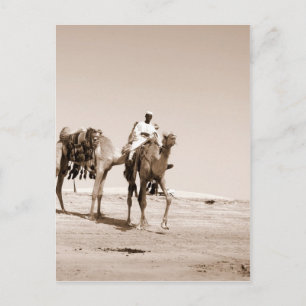Desert Scene Postcard