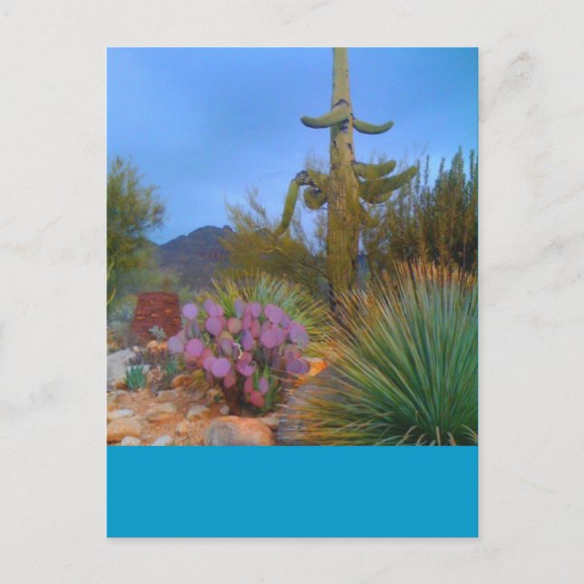 Desert Scene Postcard (Front)