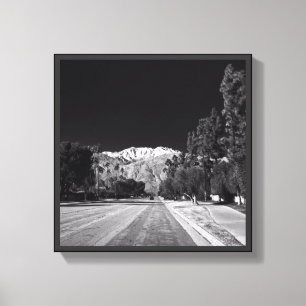 Desert Snow-Rancho Mirage, CA by Tom Masters Canvas Print