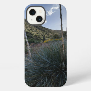 Desert Southwest Sotol Plants Scenic Image Arizona iPhone 13 Case