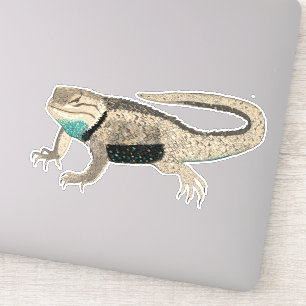 Desert Spiny Lizard Coloured Pencil Nature Art