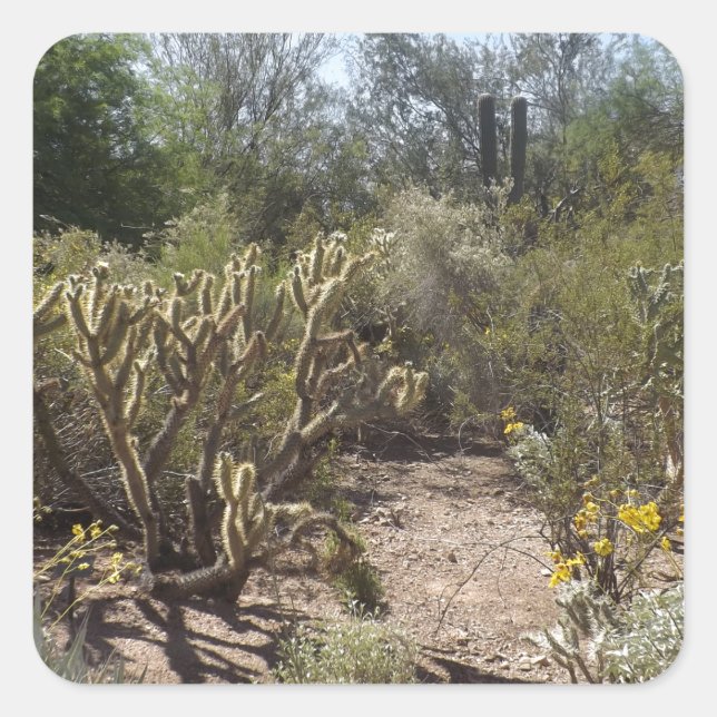 Desert Square Sticker (Front)