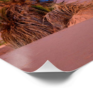 Desert Star Trails: Palm Trees & Pickup Truck Nigh Poster